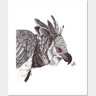 Harpy Eagle Posters and Art